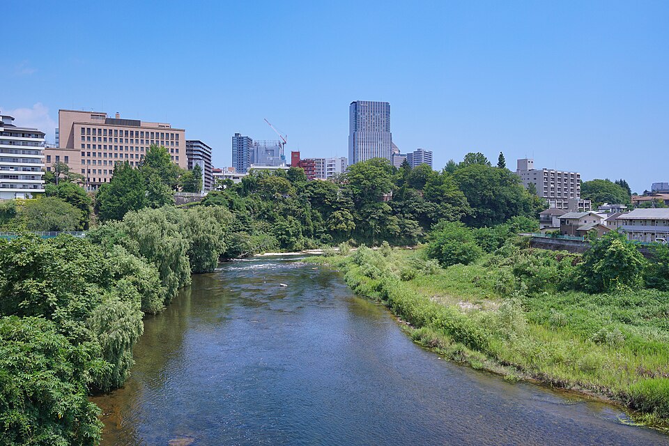 Hirose River and Sendai cityscape